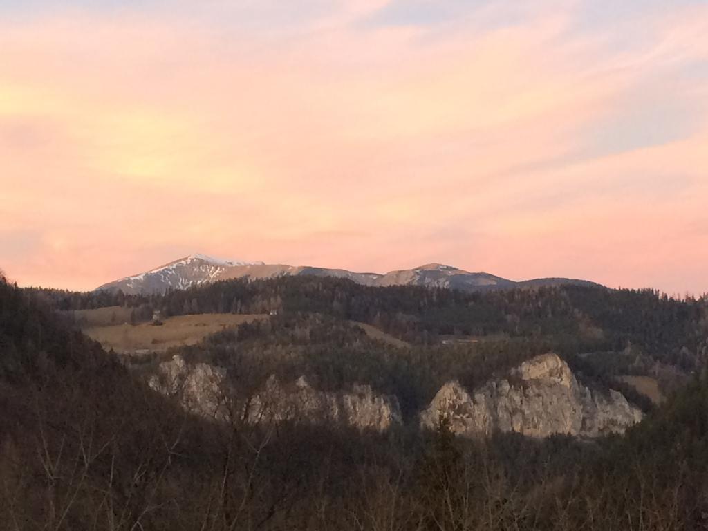 Villa Wellspacher Semmering Dış mekan fotoğraf
