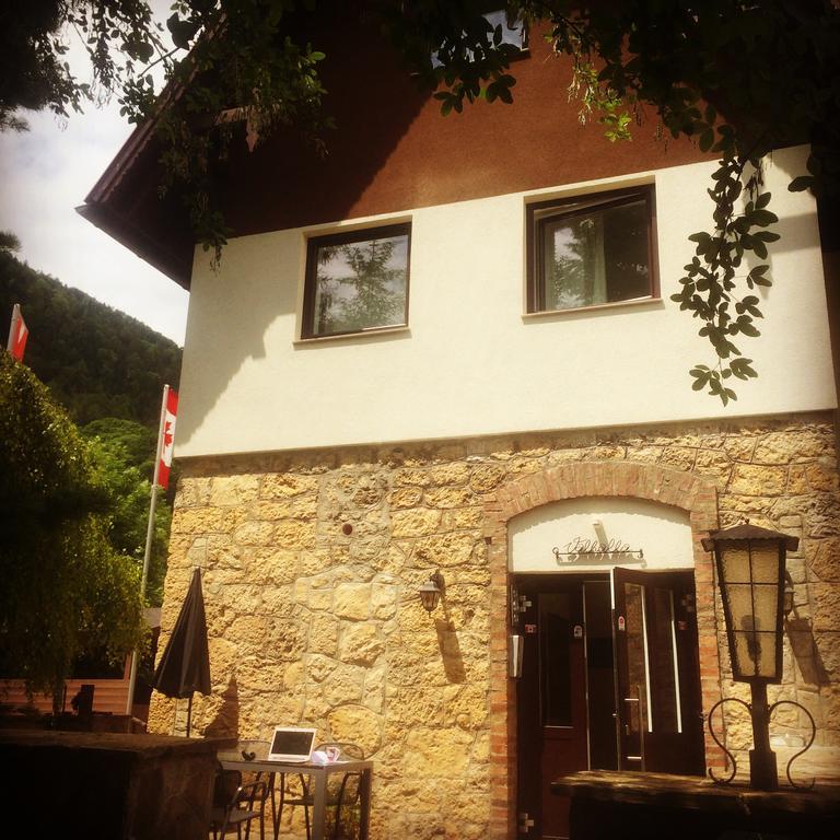 Villa Wellspacher Semmering Dış mekan fotoğraf