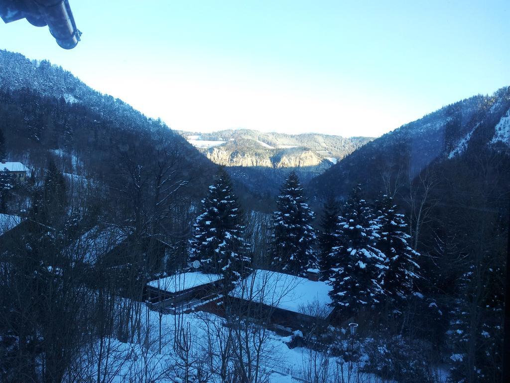 Villa Wellspacher Semmering Dış mekan fotoğraf