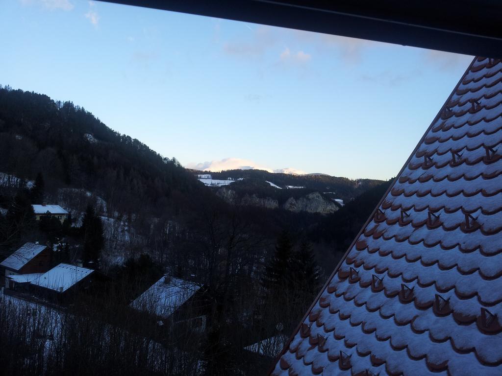 Villa Wellspacher Semmering Dış mekan fotoğraf