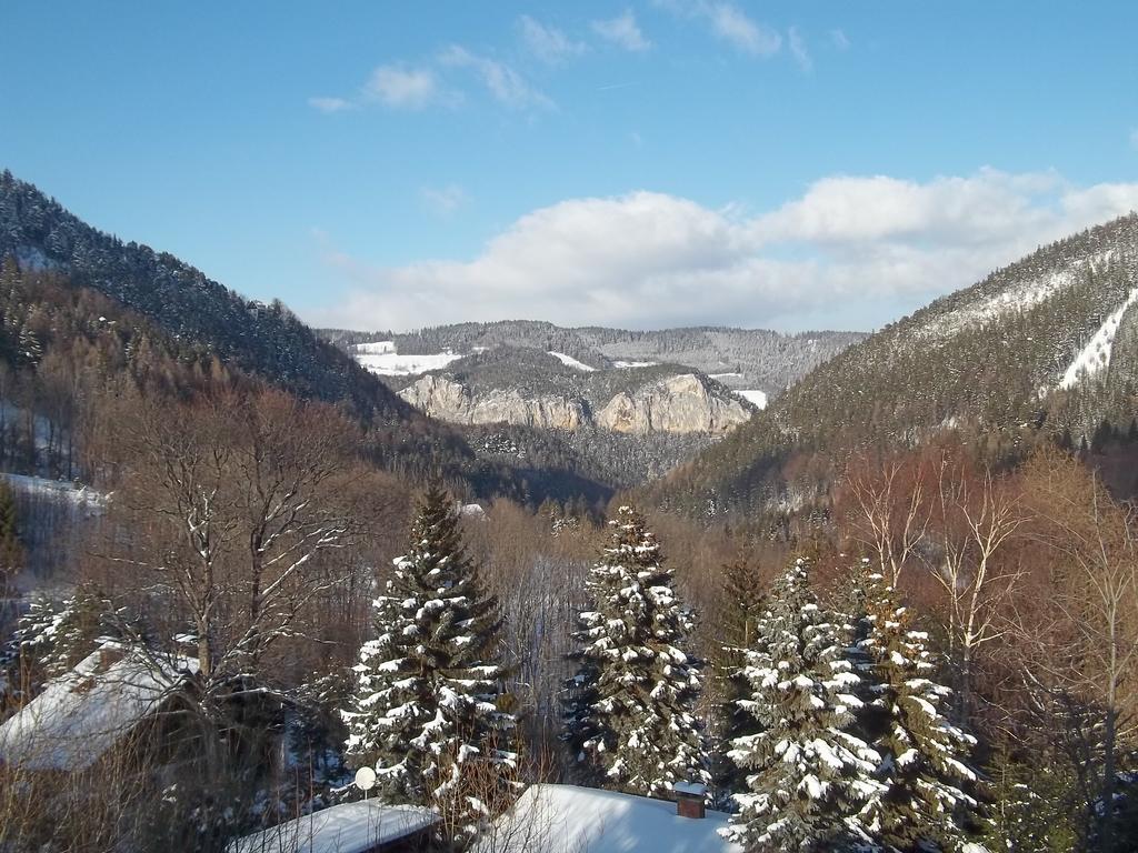 Villa Wellspacher Semmering Dış mekan fotoğraf
